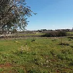 Trulli Sotto La Cupa 公寓 马丁纳弗兰卡