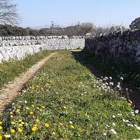 Trulli Sotto La Cupa *