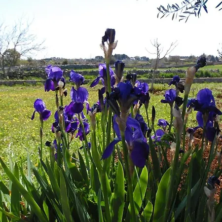 Trulli Sotto La Cupa Apartament *