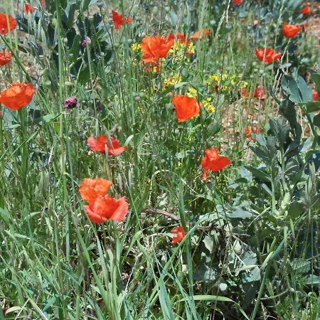 Apartament Trulli Sotto La Cupa Martina Franca