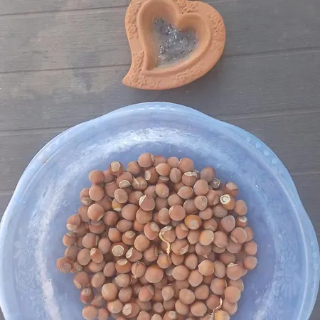 Apartamento Trulli Sotto La Cupa *