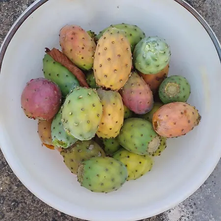 Trulli Sotto La Cupa Apartamento *