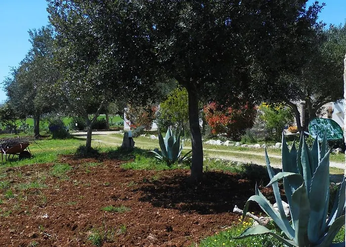 Trulli Sotto La Cupa Martina Franca