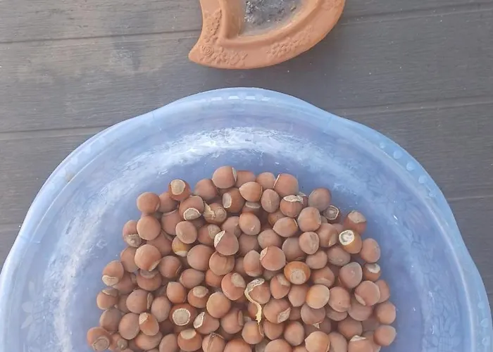 Apartamento Trulli Sotto La Cupa *