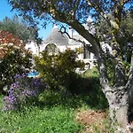 Trulli Sotto La Cupa