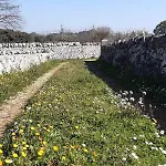 Trulli Sotto La Cupa *