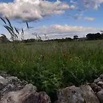 Trulli Sotto La Cupa *