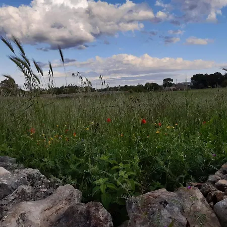 Trulli Sotto La Cupa *
