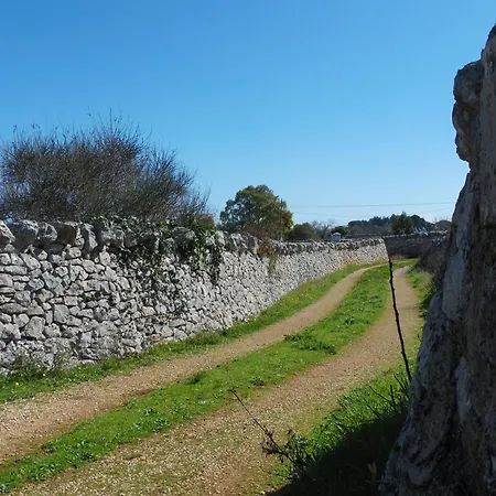 דירה Trulli Sotto La Cupa מרטינה פרנקה