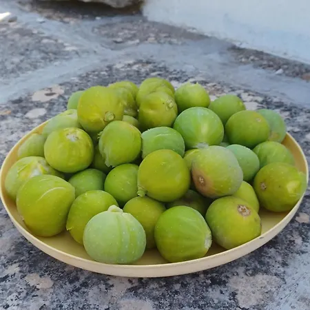 Trulli Sotto La Cupa 马丁纳弗兰卡