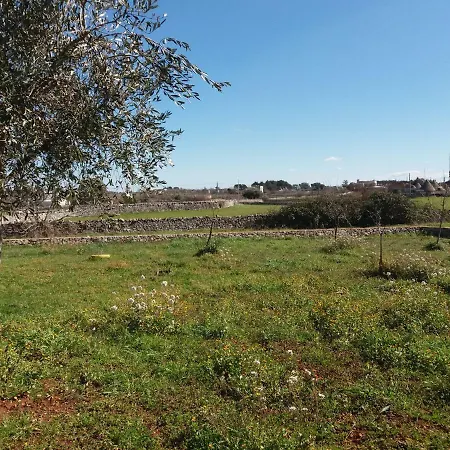 Trulli Sotto La Cupa 公寓 马丁纳弗兰卡