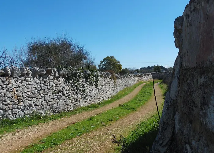 公寓 Trulli Sotto La Cupa 马丁纳弗兰卡