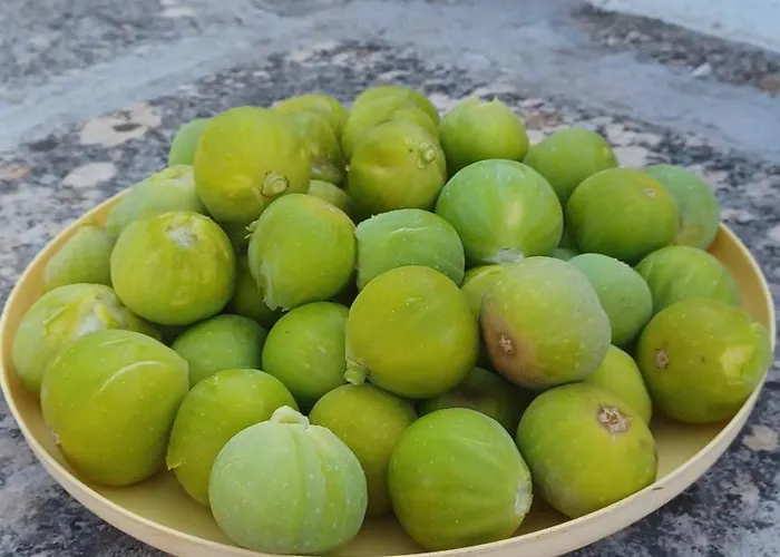 Trulli Sotto La Cupa 马丁纳弗兰卡